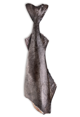 Black COD natur